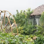 Gia Trinh Farmstay Ba Vi - Venue Travel